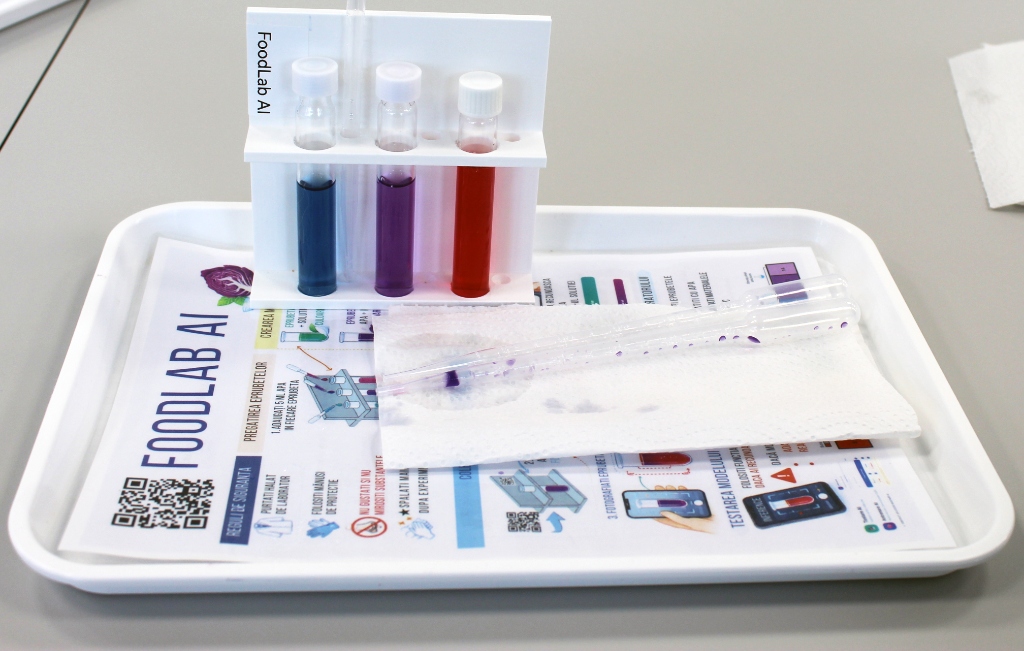 Pregătirea manuală a probelor în atelierul FoodLab AI